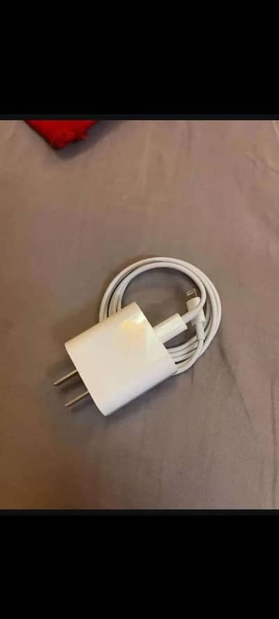 APPLE IPHONE 100 ORIGINAL 20 WATT FAST CHARGER FOR SALE. . .