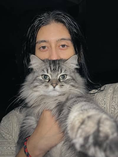 Raja Aziii