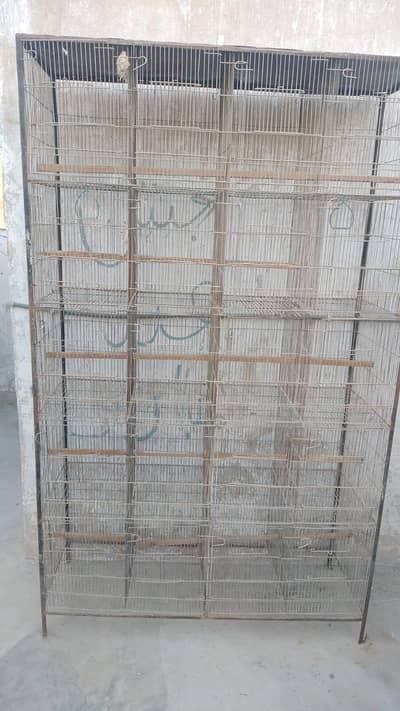bird's cages
