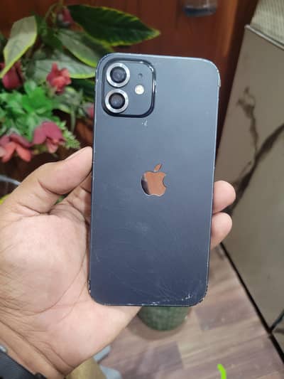 Apple iPhone 12