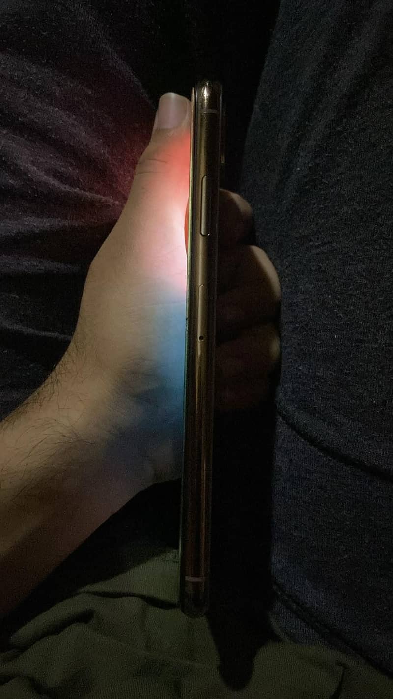 Apple iPhone XS Max 1