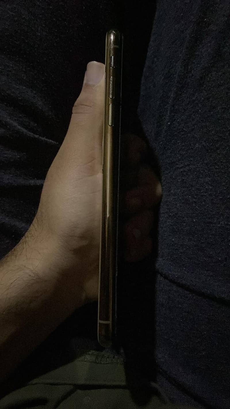 Apple iPhone XS Max 2