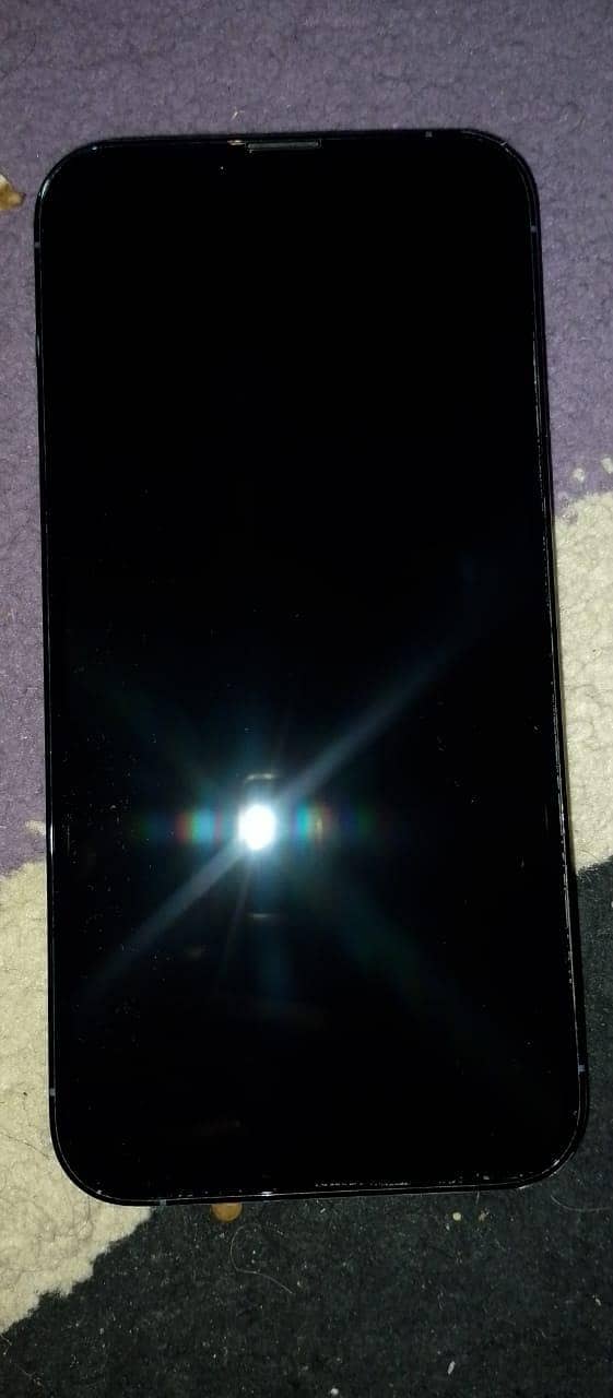 Apple iPhone 13 Pro Max 3