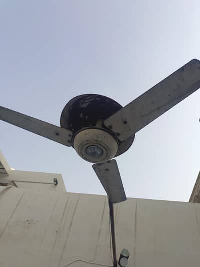 fan for in working condition in very low price