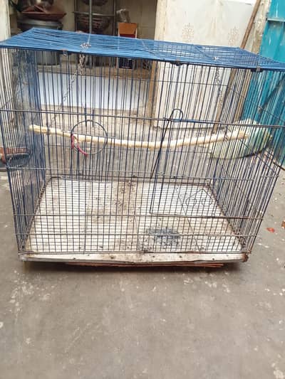 Cage parrot cage