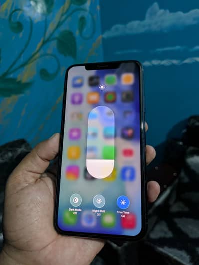 iPhone 11 Pro Max bypass 10/10