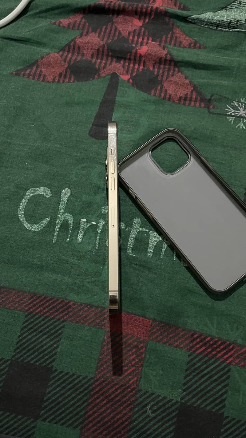 Apple iPhone 12 Pro Max 1
