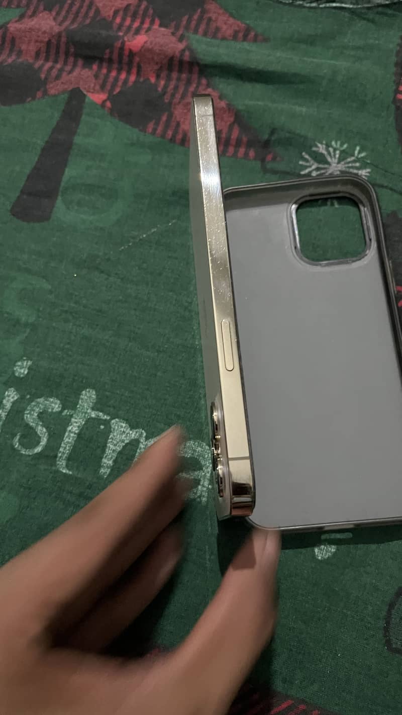 Apple iPhone 12 Pro Max 2