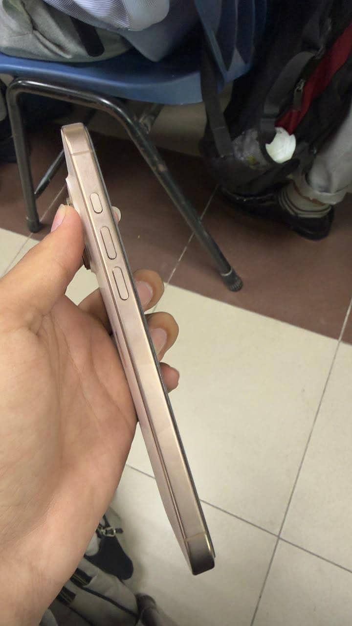 Apple iPhone 16 Pro Max 1