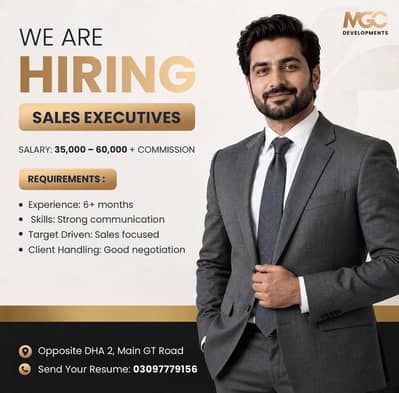 Sales Executives