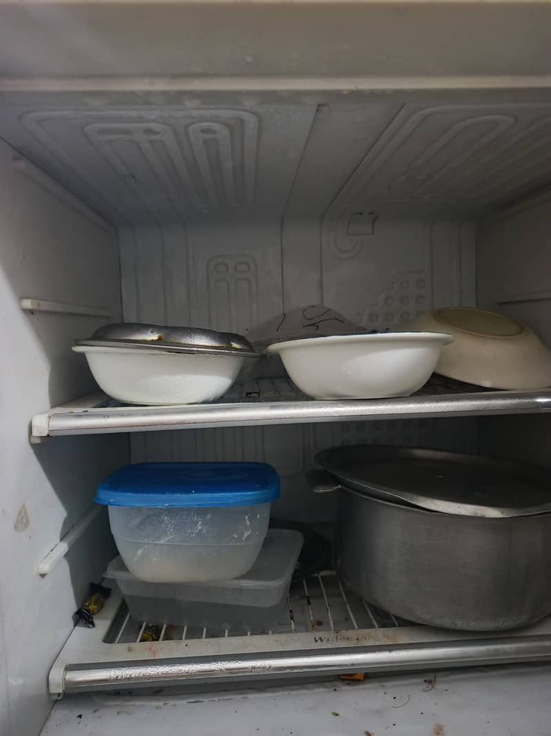 fridge 1