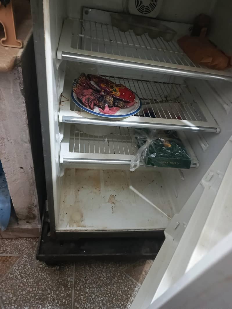 fridge 2