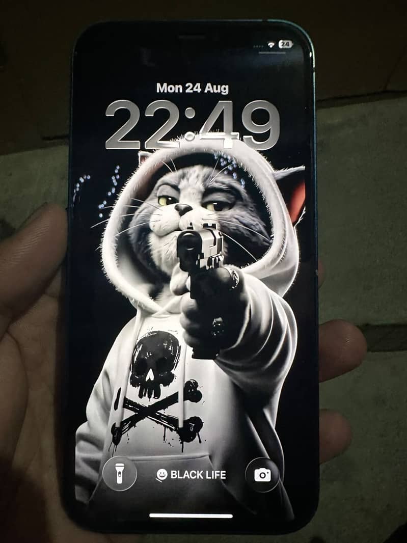 Apple iPhone 12 2