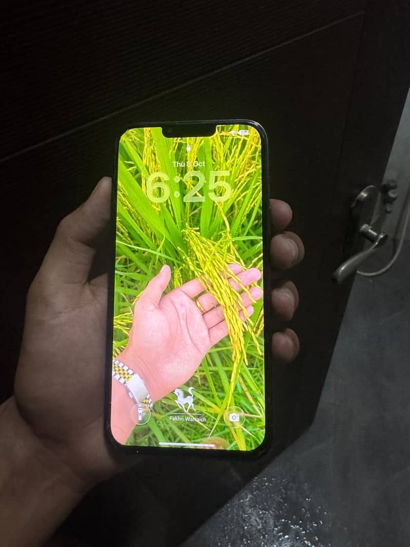 Apple iPhone 13 Pro Max 1