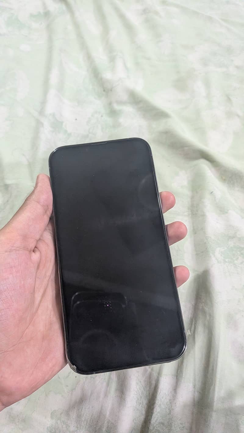 Apple iPhone 13 Pro Max 3