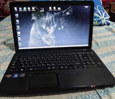 Toshiba Satellite C850D