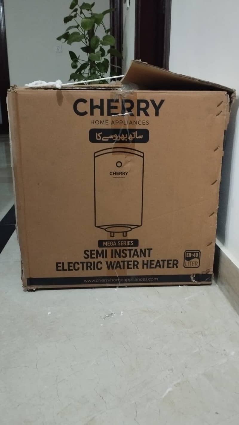 Electric geyser 6