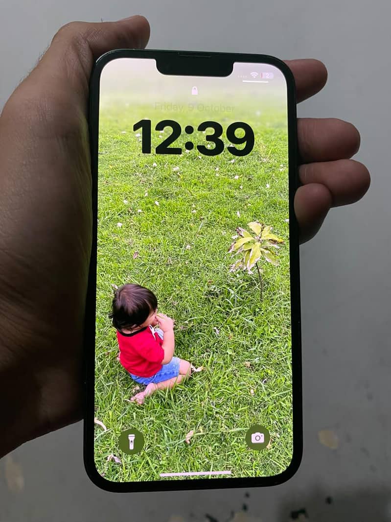 Apple iPhone 13 0