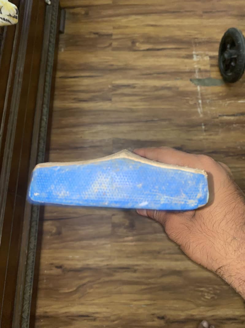 SS Cricket bat 2