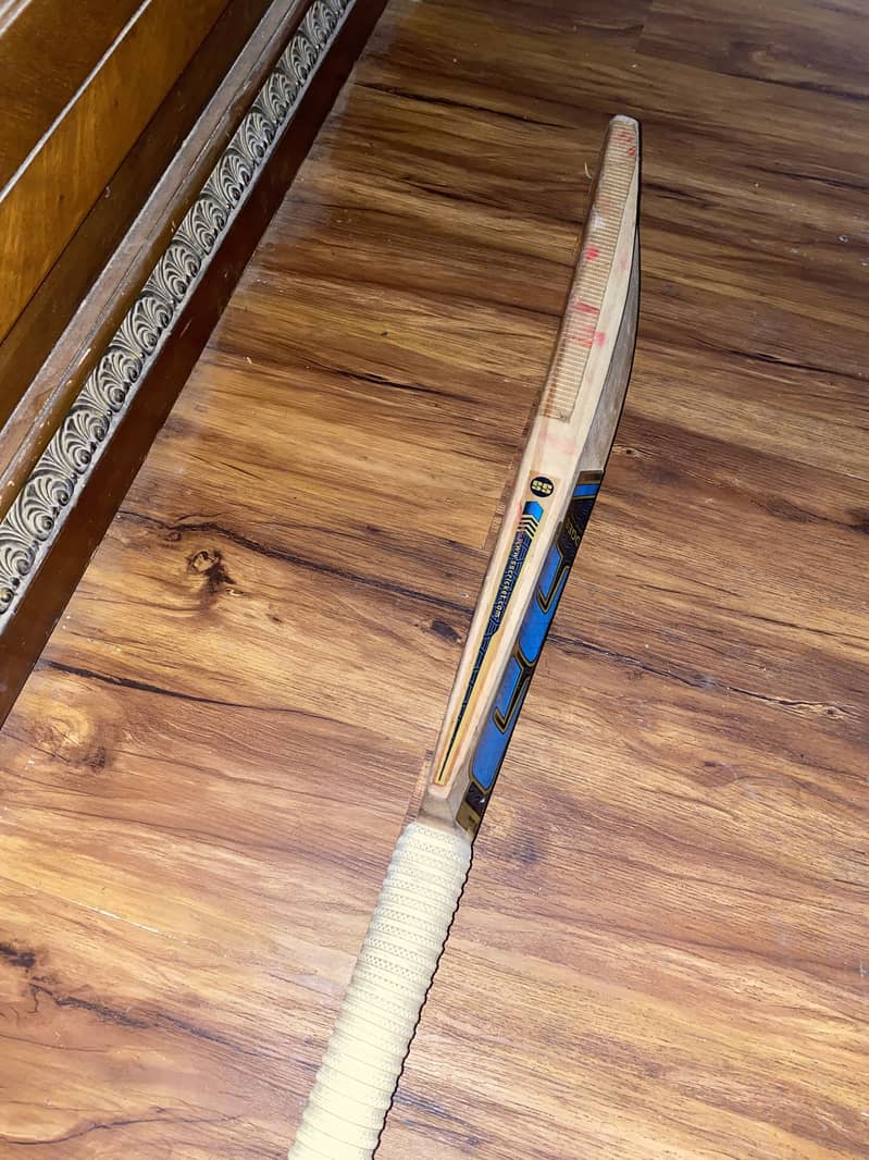 SS Cricket bat 3
