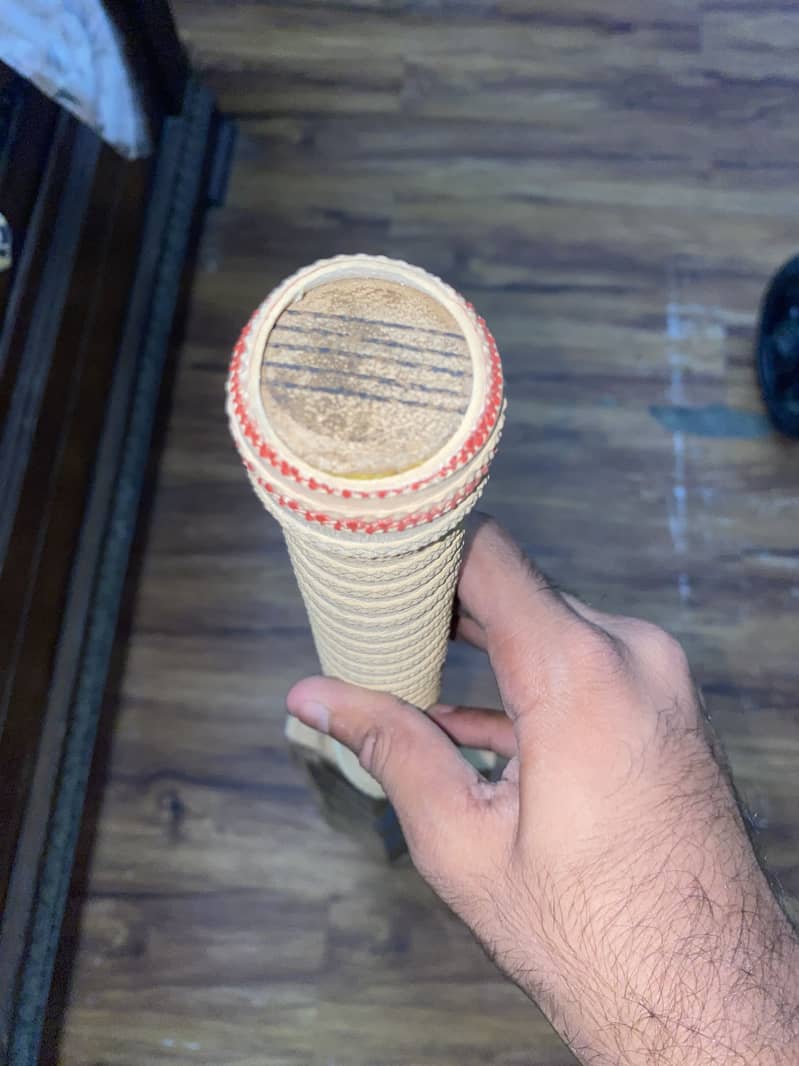 SS Cricket bat 4