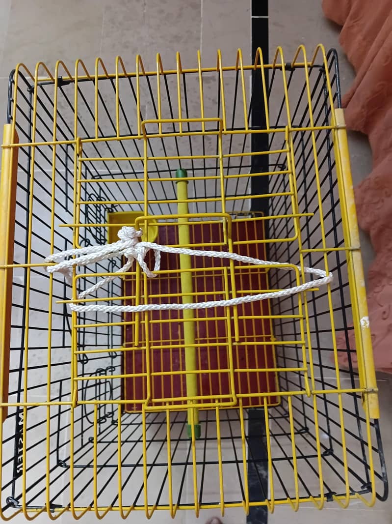 ring neck cage 1