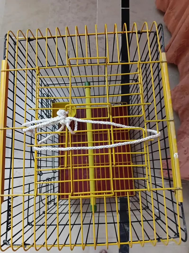 ring neck cage — photo 2