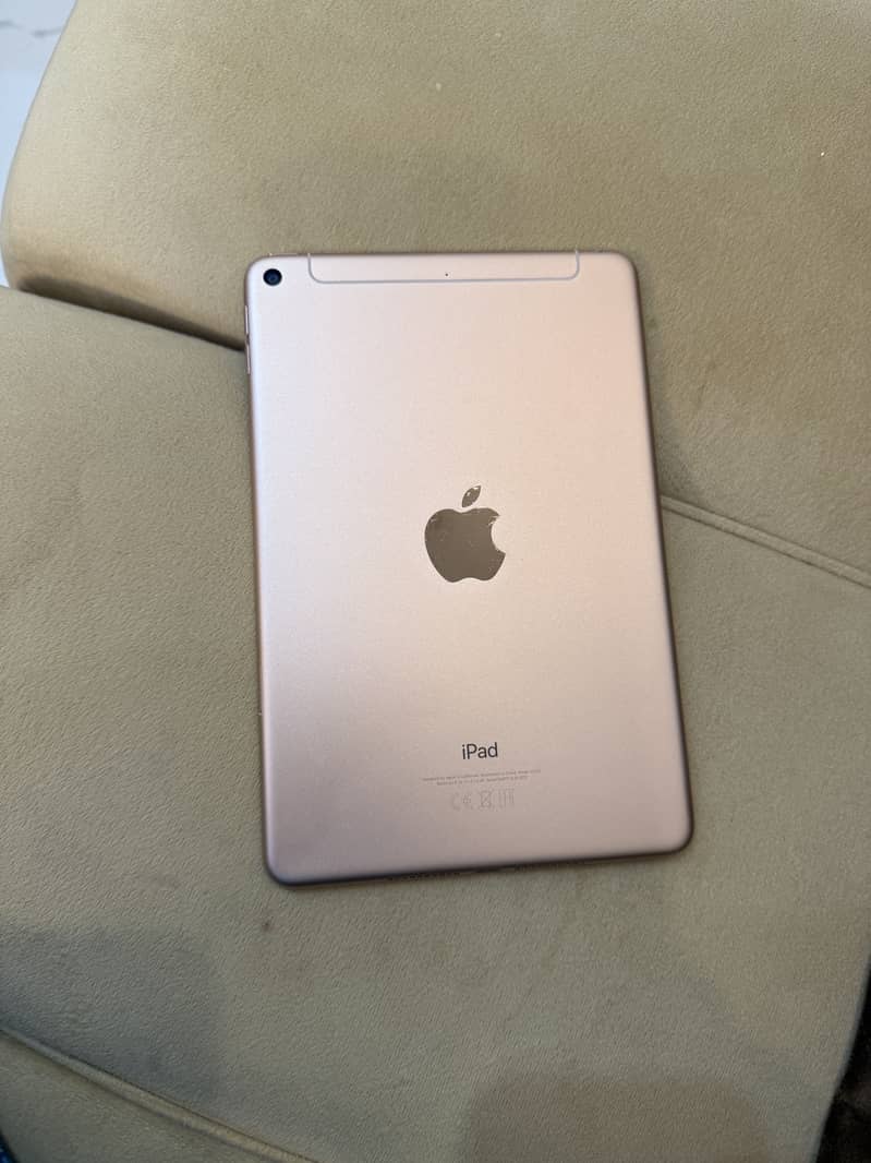 Ipad mini 5 0
