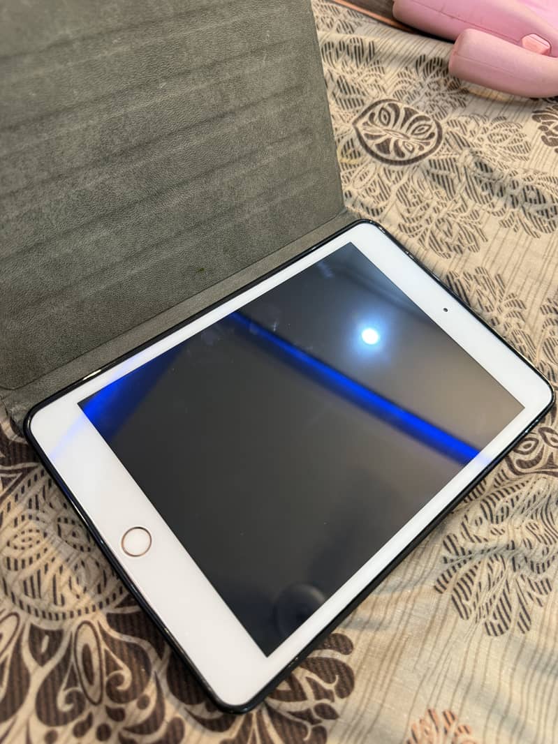 Ipad mini 5 6