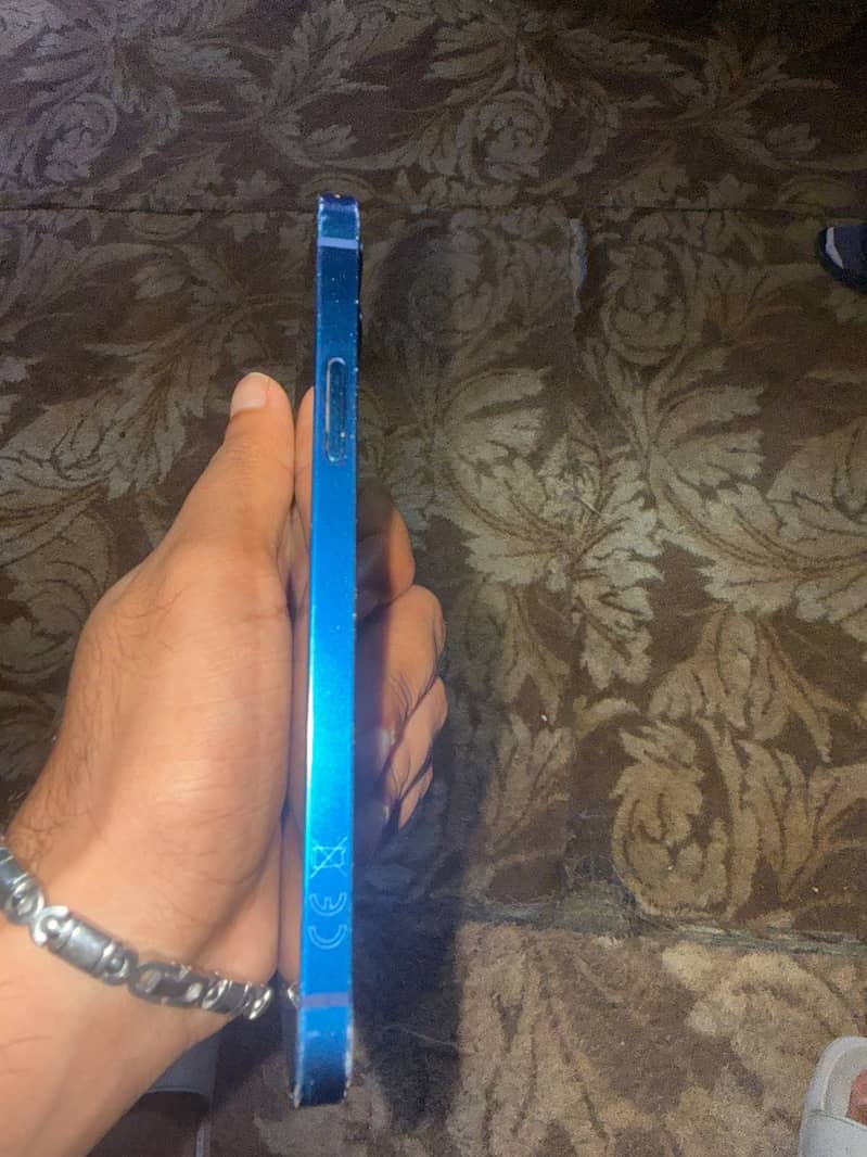 Apple iPhone 12 1