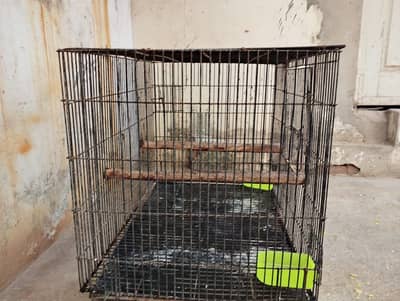 Cage for African grey for sale