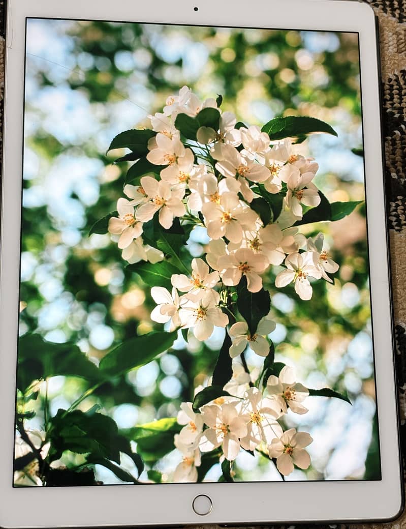 Ipad pro 1