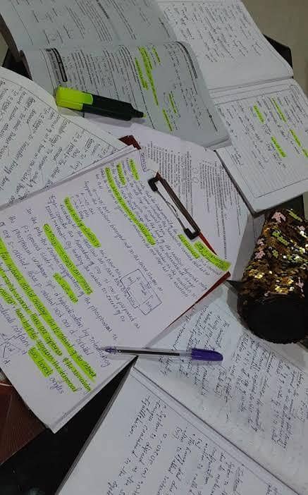 real Assignment work 0