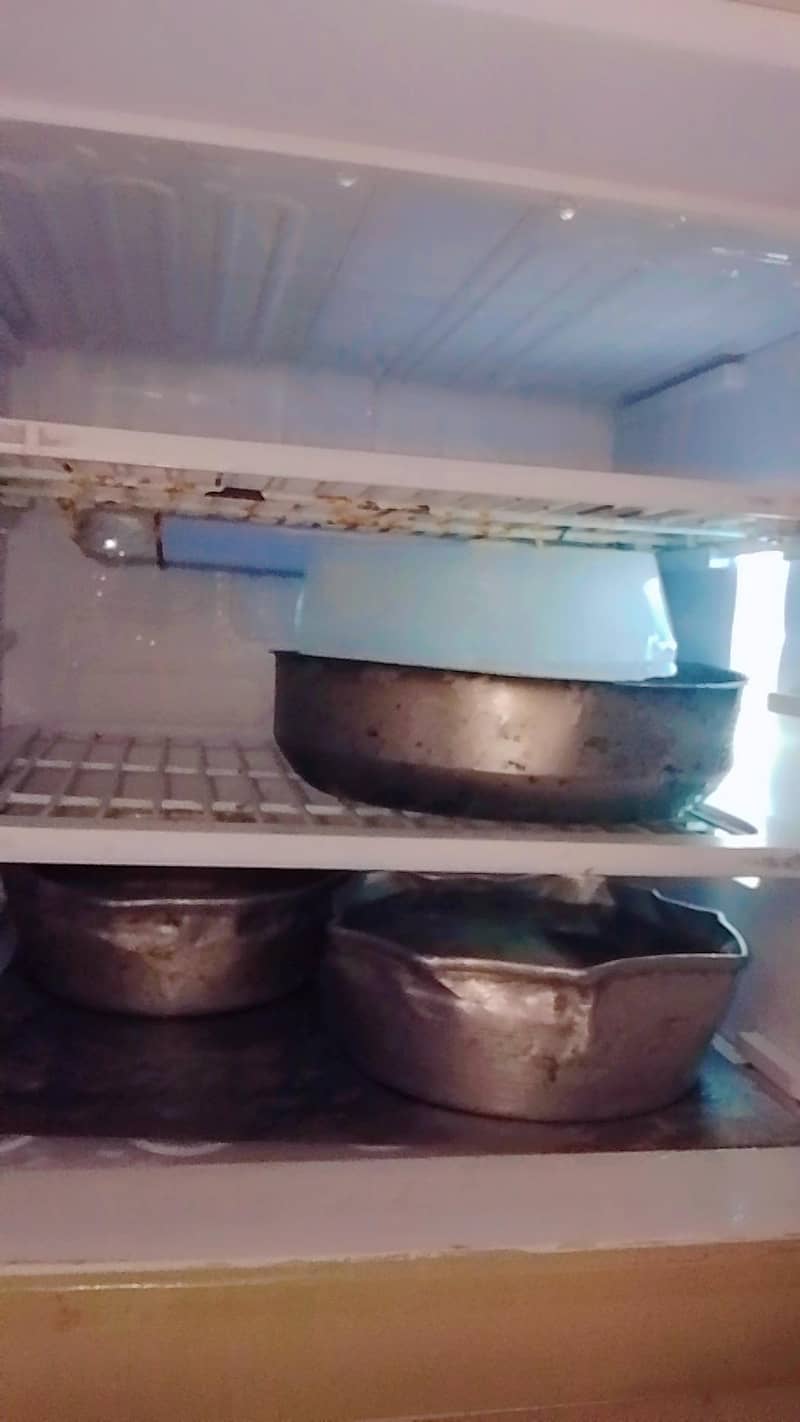 Freezer 3