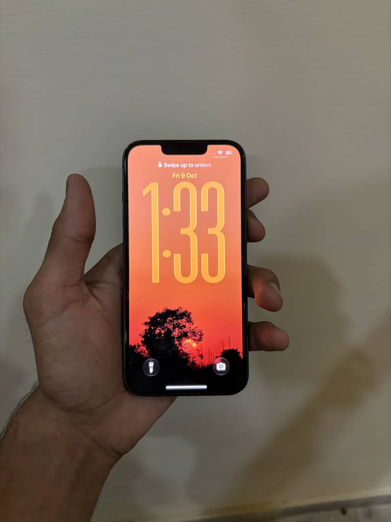 Apple iPhone 13 0
