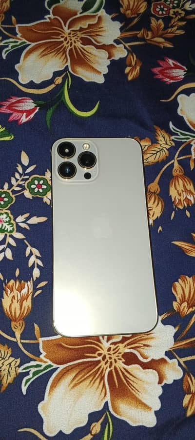 Apple iPhone 13 Pro Max