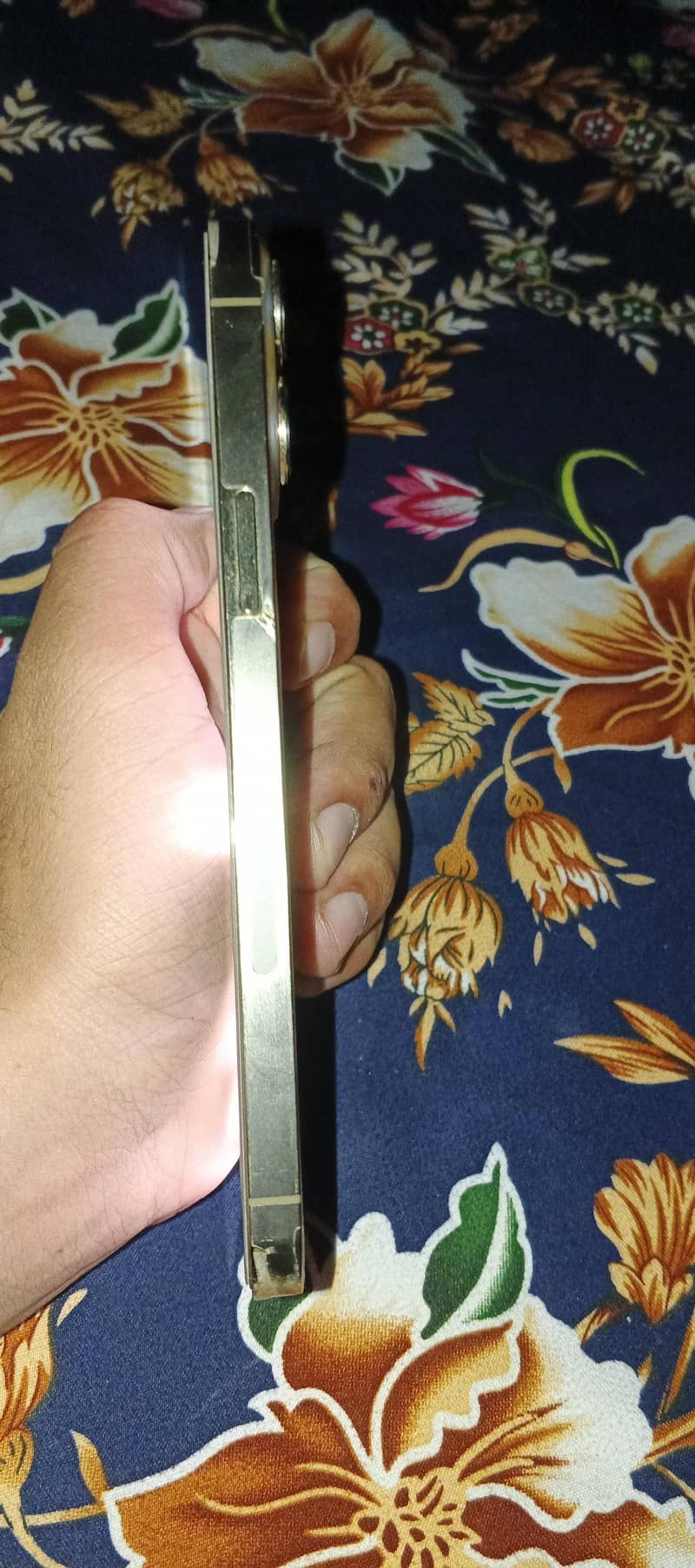 Apple iPhone 13 Pro Max 2