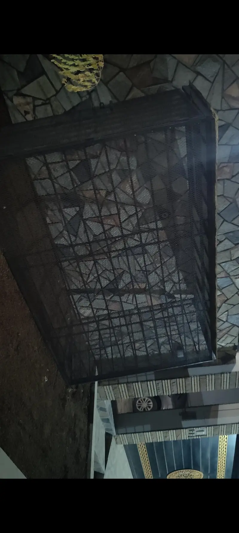 heavy Cage (Pinjra) brand new 3 bakre ate hain — photo 3