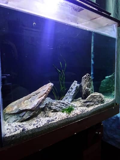 fish aquarium 2x2 sponge filter with light