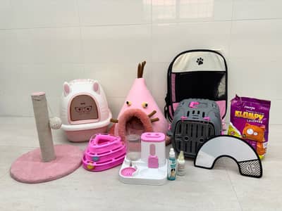 Complete Cat Accessories Bundle for Sale | condition 10/10