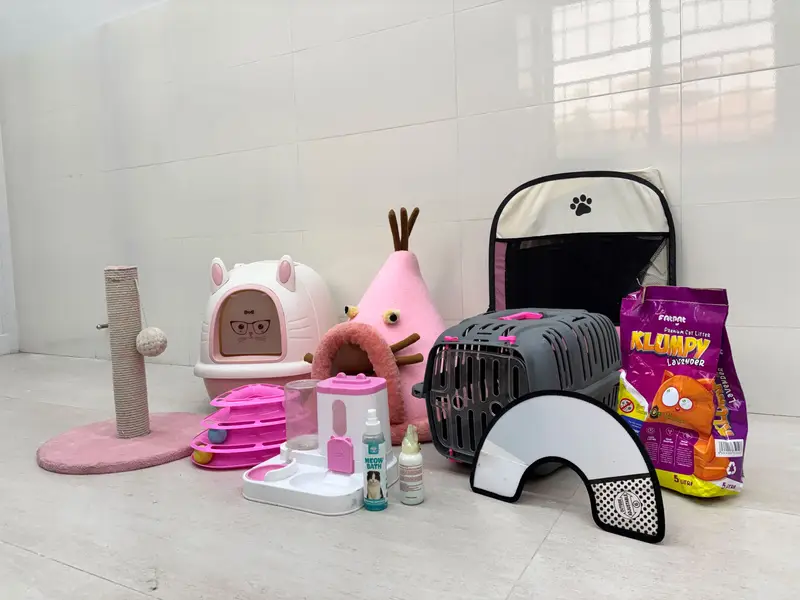 Complete Cat Accessories Bundle for Sale | condition 10/10 — photo 2