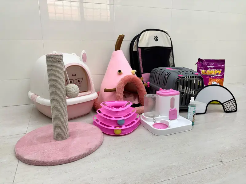 Complete Cat Accessories Bundle for Sale | condition 10/10 — photo 3