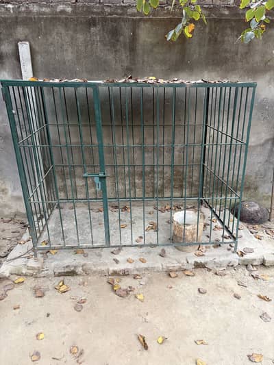 Dog Cage Solid