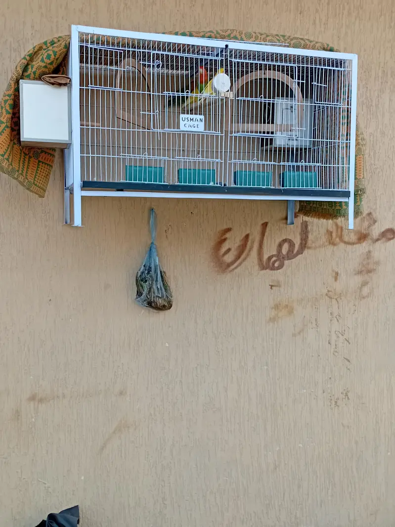 2 beautiful pear and cage — photo 9