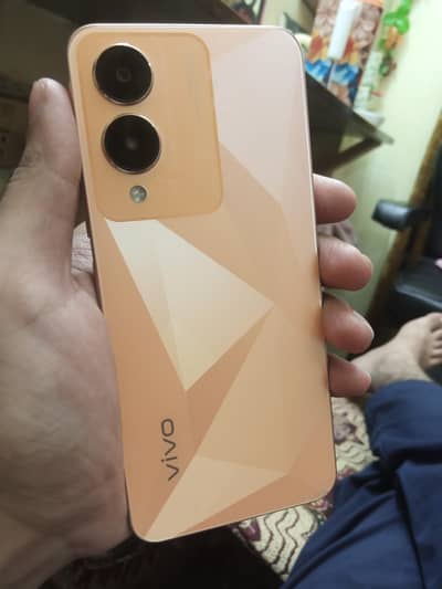 Vivo Y17s