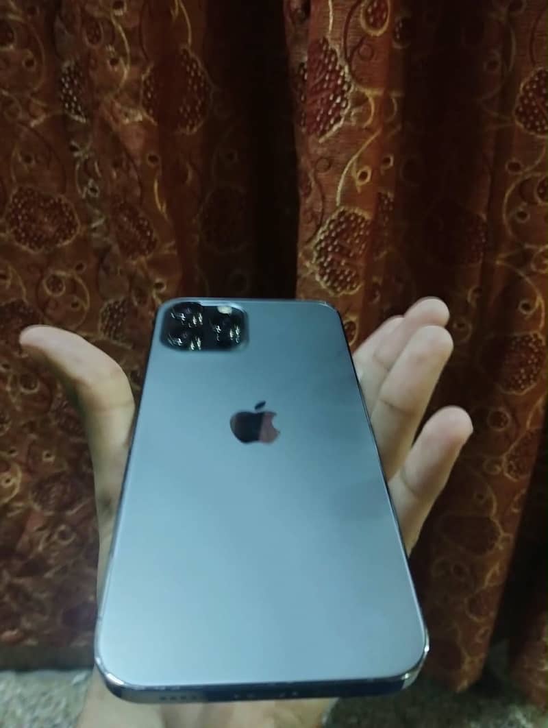Apple iPhone 12 Pro Max 1