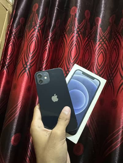 iPhone 12 256 pta