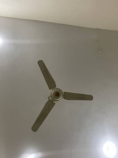 Ceiling fan for sale
