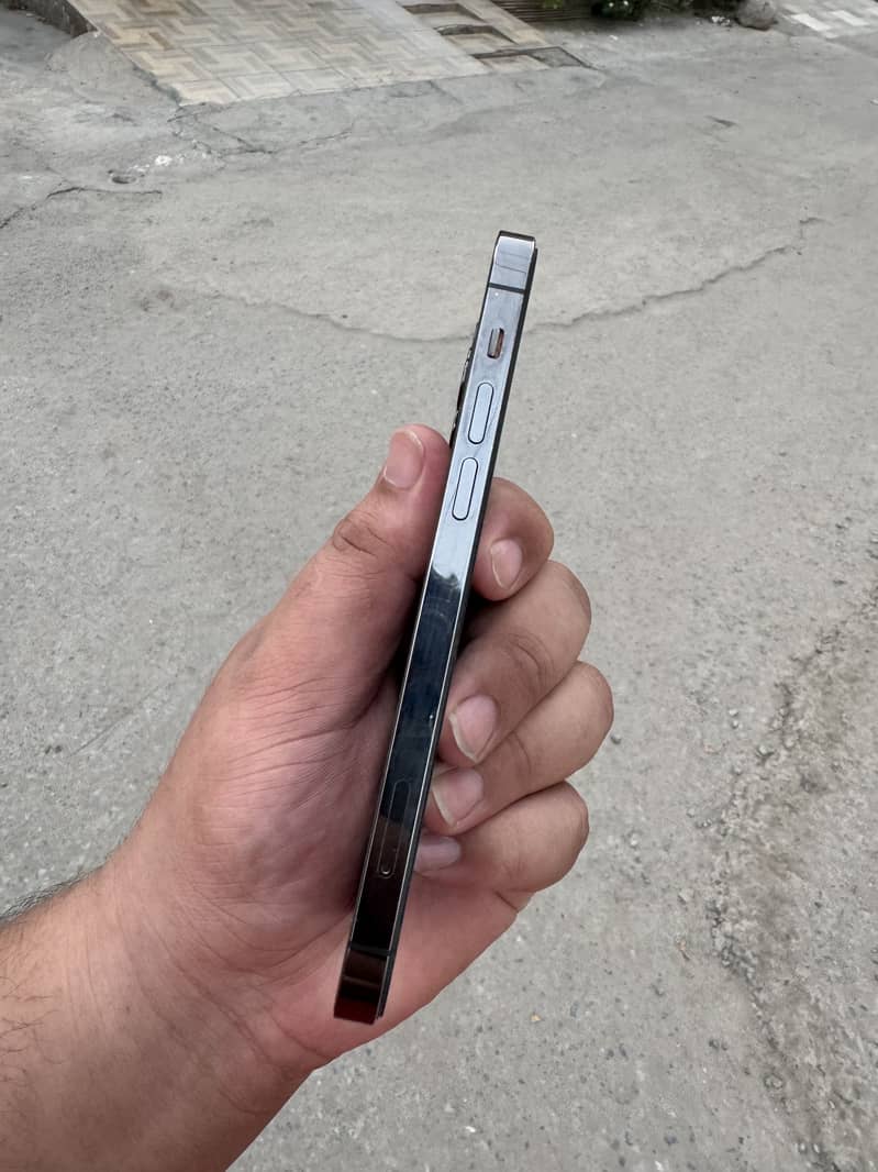 12 Pro 1