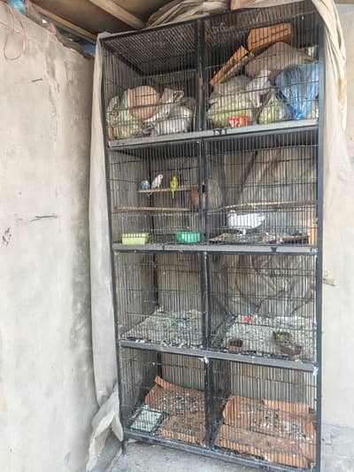 cage and birds